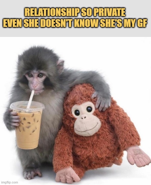 me and my gf meme