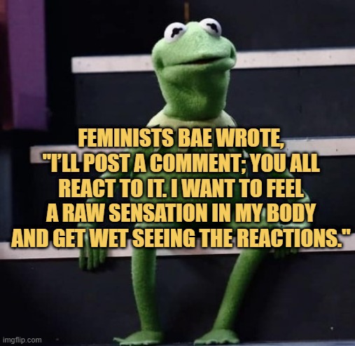Feminists be like