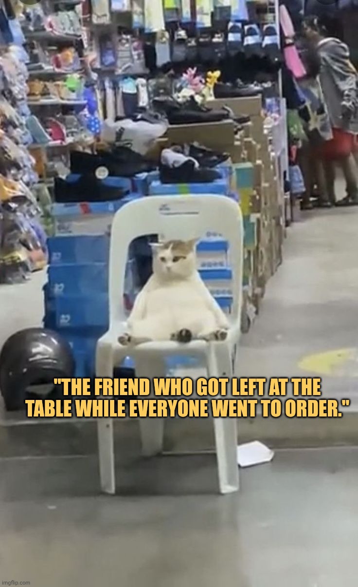 that friend is me meme