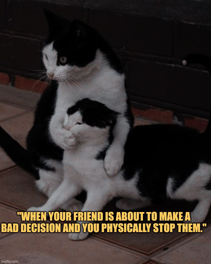 i have responsibility yo protect my friend meme