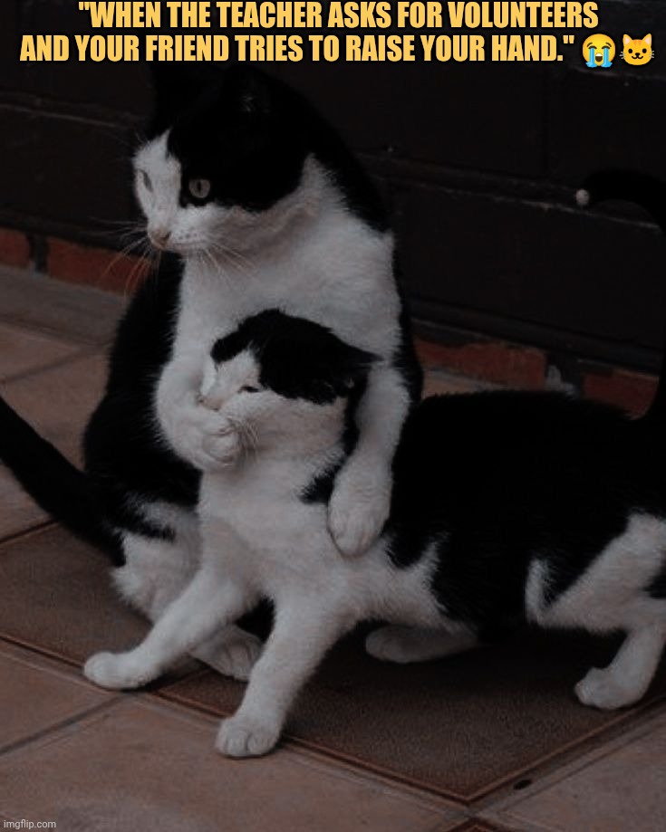 My Friend always gives me. Trouble so im stopping him from doing that
