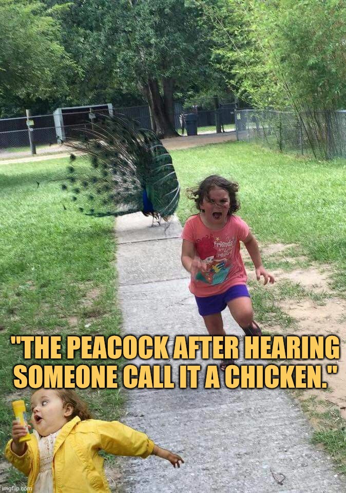 peacock chose violence today meme