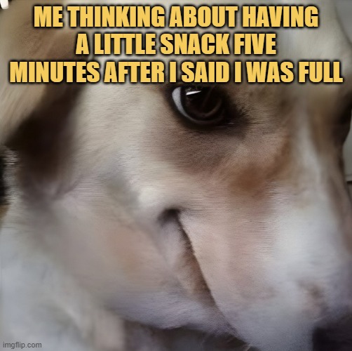 I love snacks