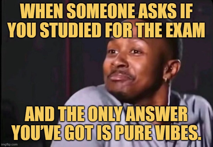 and the only answer you’ve got is pure vibes..jfif meme