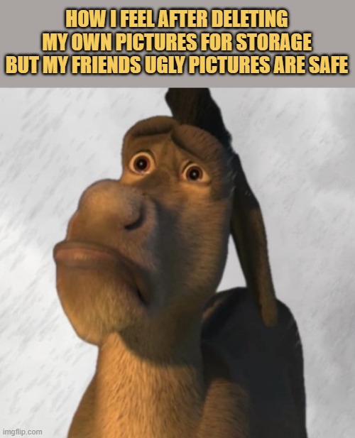 I feel like a donkey