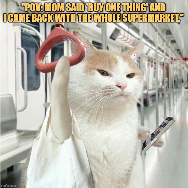 now moms gonna punish me meme