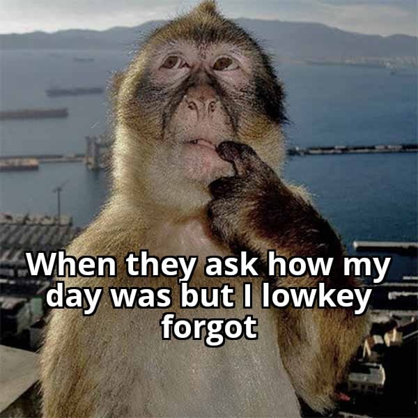 forgor meme