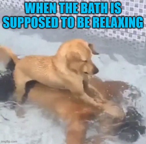 when the bath is supposed to be relaxing meme
