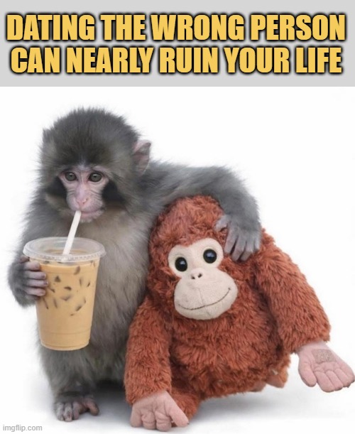dating meme