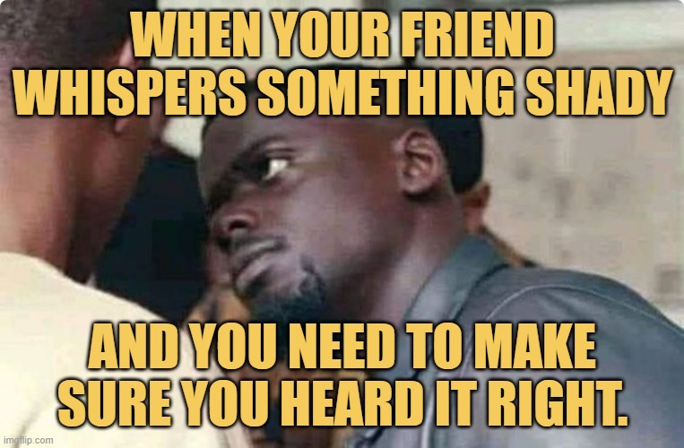 and you need to make sure you heard it right..jfif meme