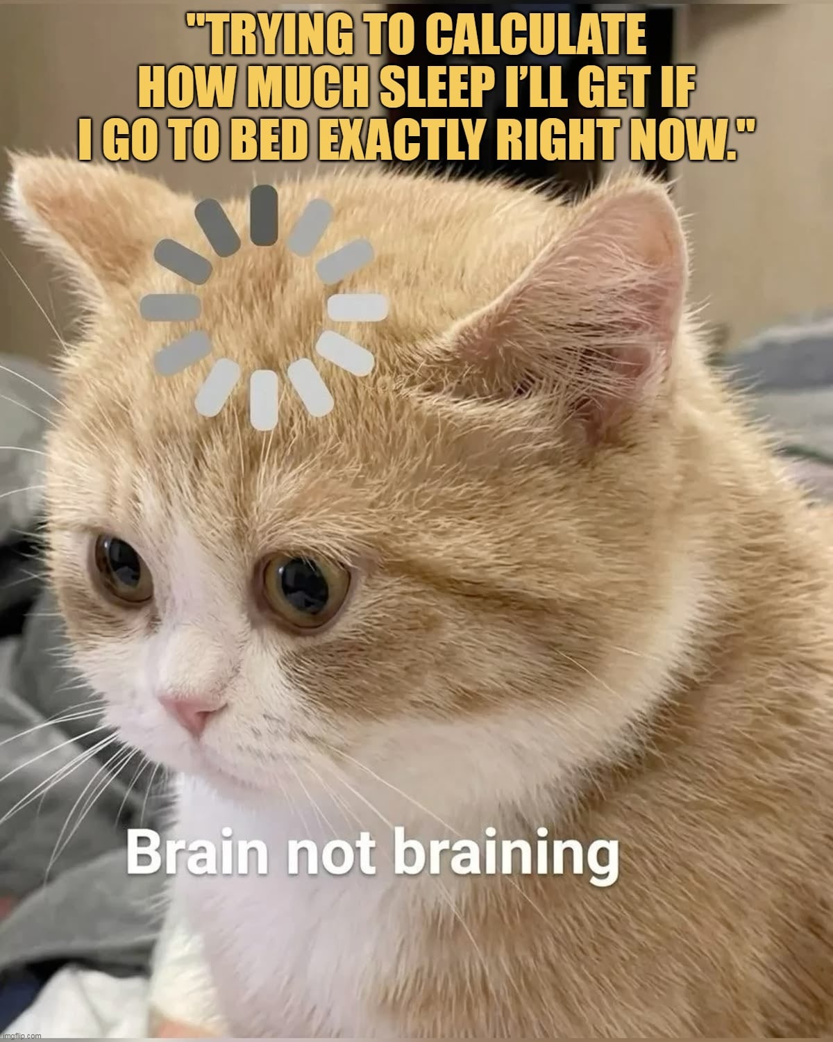 i will get only 2 hours of sleep meme