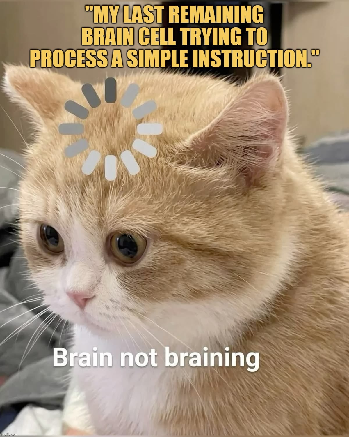 It’s not processing well