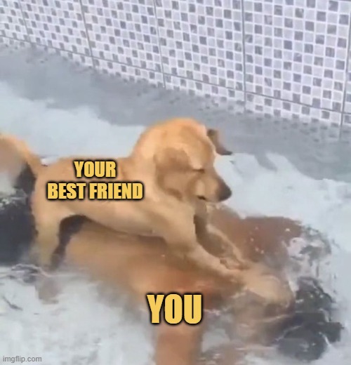 when he catches you with his gf meme