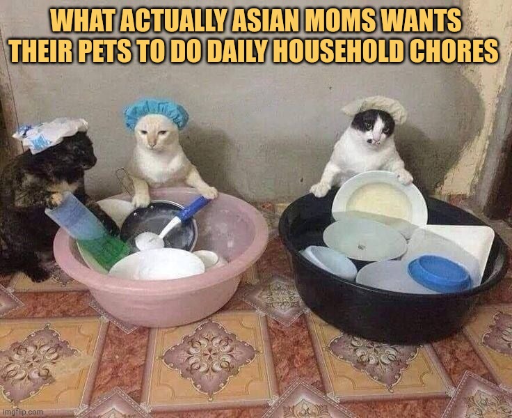 what asian moms wants to meme