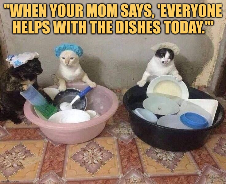 when mom says everyone means everyone meme