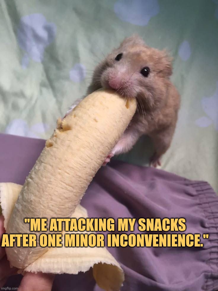that's why snacks hates me meme