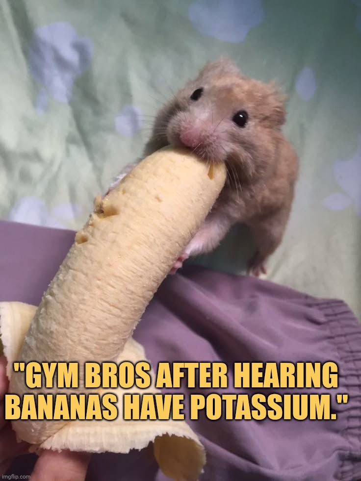 gym bros after hearing bananas has potassium they're golping kike crazy meme