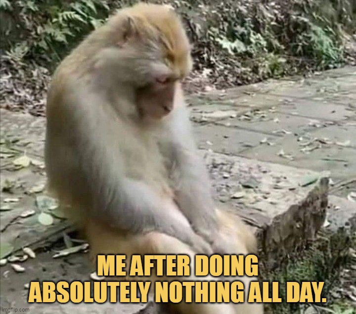 I just fully tired now
