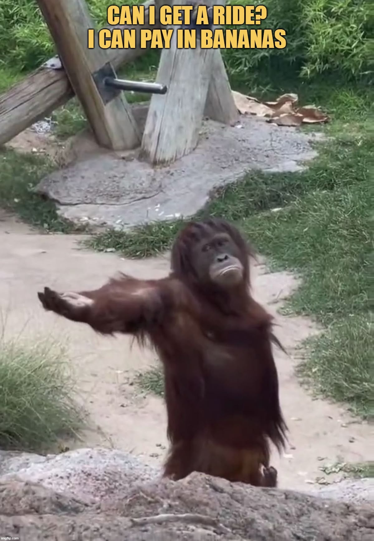 He can pay banana