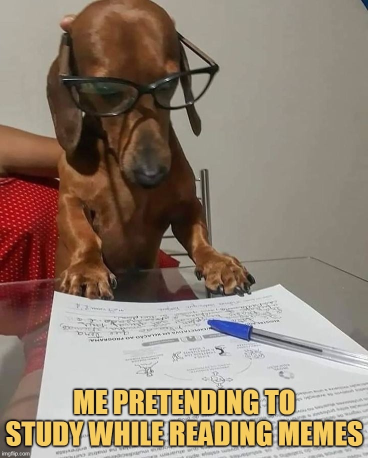 Because memes are love