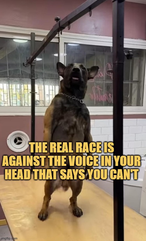 voice of your head
