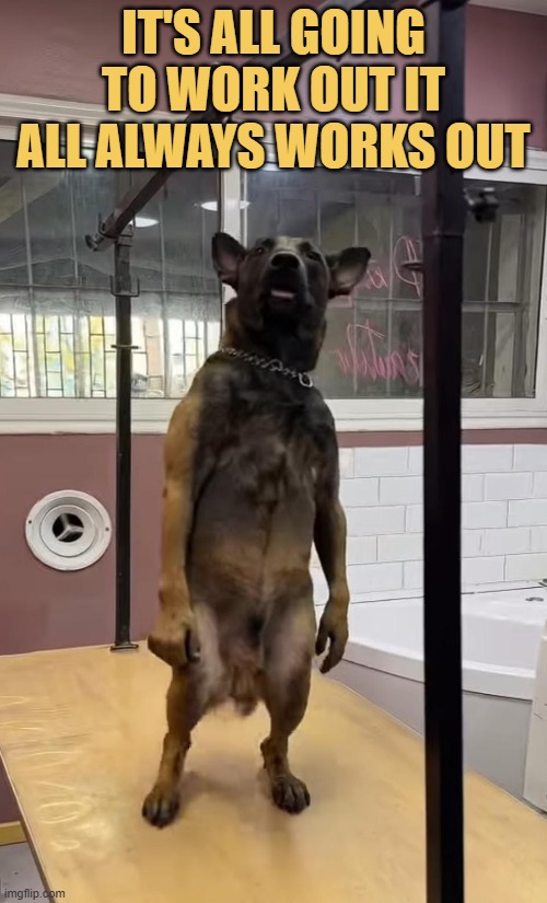 Work out