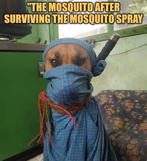 When mosquito escape from mosquito repellent