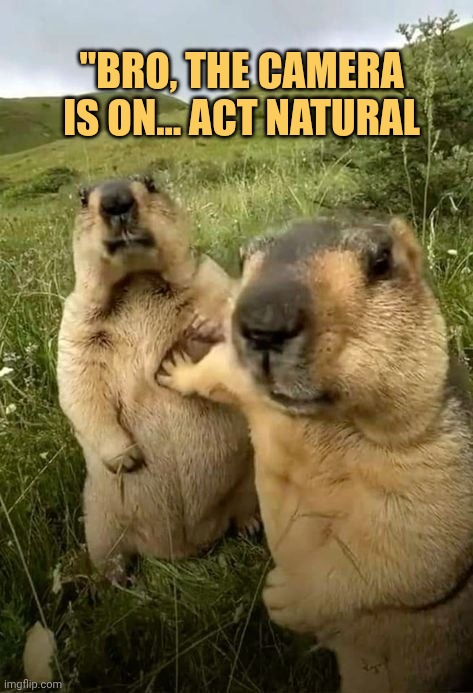 Act natural my friend