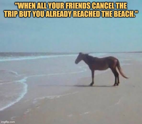 nobody came but i already reached meme
