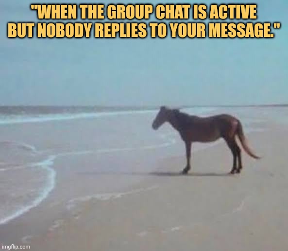 im this much lonely nobody replies my text meme