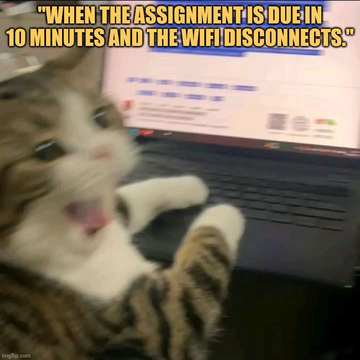 whatttttttt meme