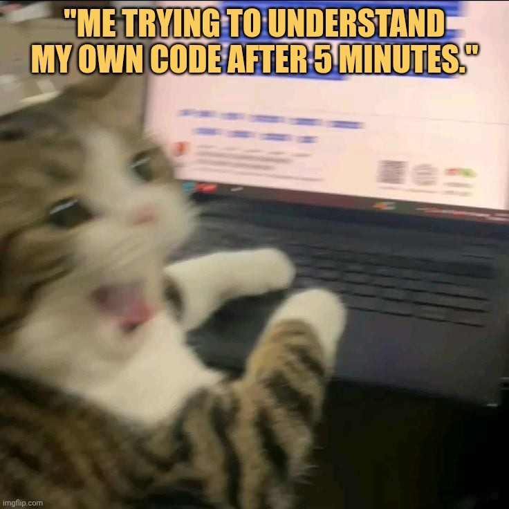 me forgetting my own code meme