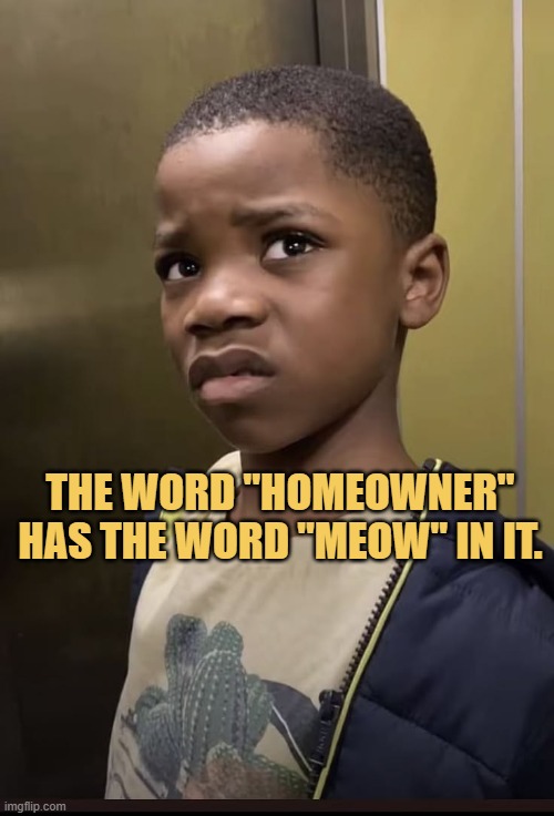 Meow in homeowner
