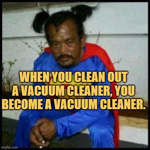 Vacuum cleaner theory