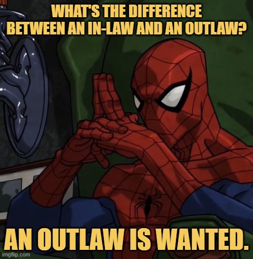 out law vs in law meme