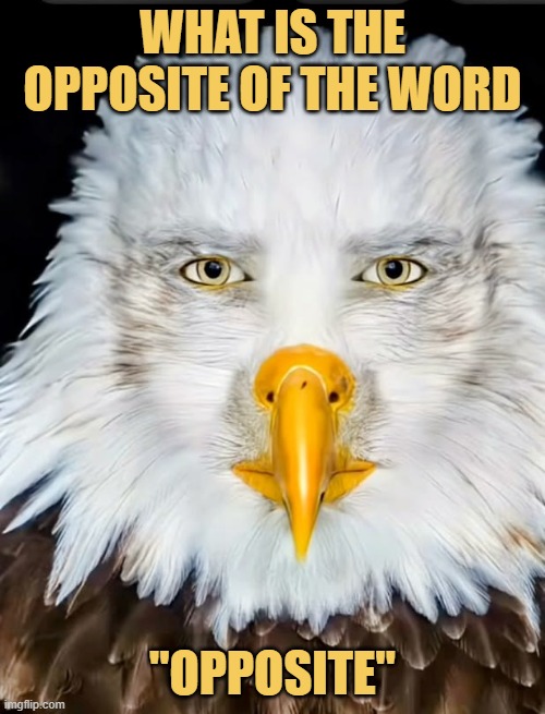 opposite meme