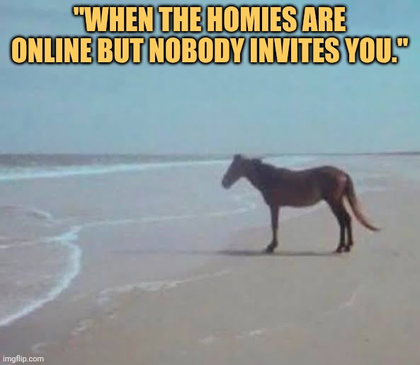 Homies aren't inviting me im sad