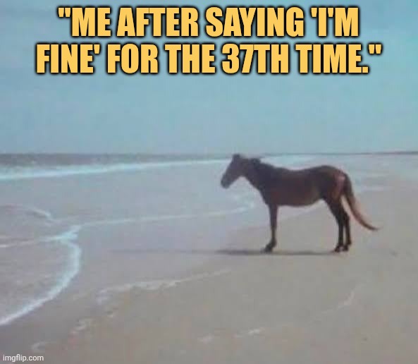 Im fine by the sea shore alone