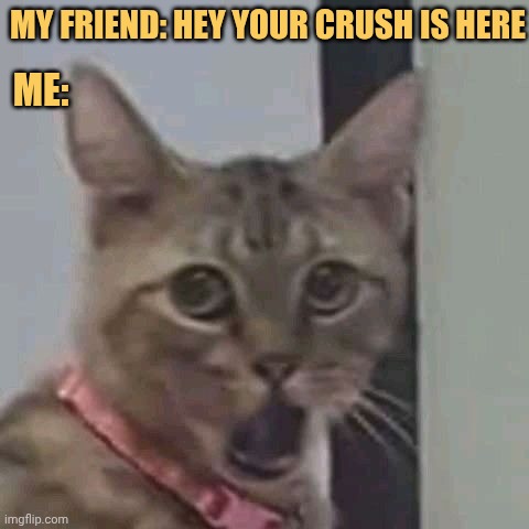 I can't close my mouth seeing her