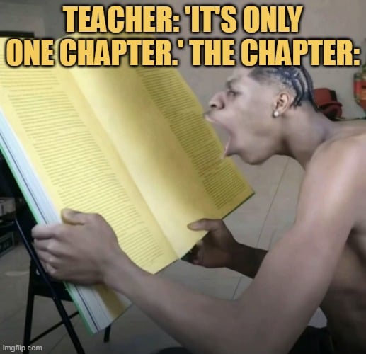 just 1 chapter just meme