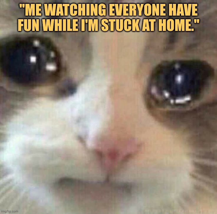 my mom won't let me be outside meme