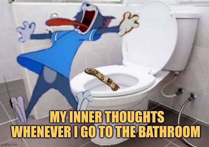 Whenever i go to the bathroom