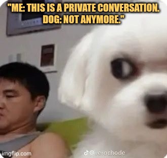 not anymore im gonna listen all meme