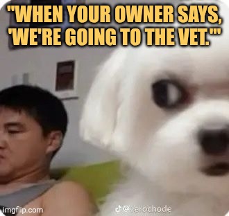what did u say owner meme