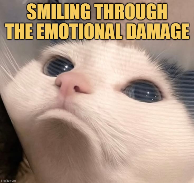 i am fully damage meme