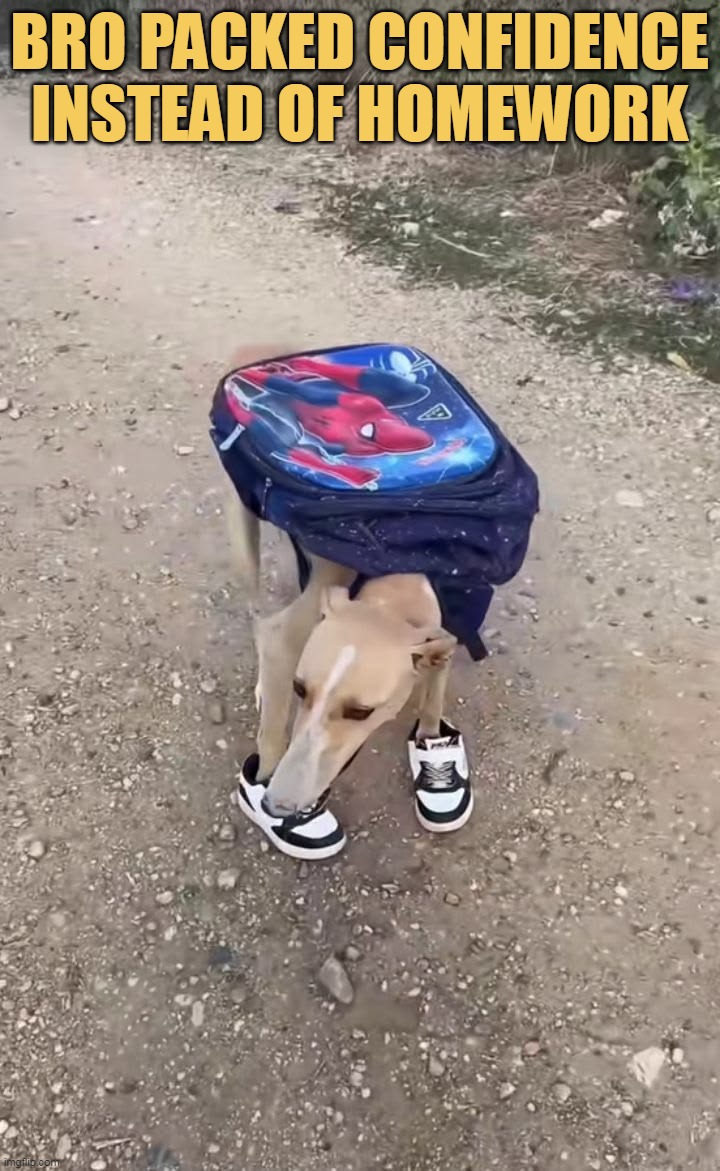 Bro is me