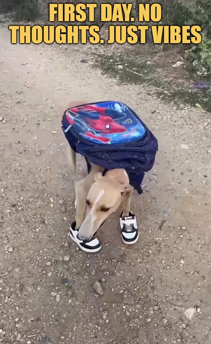 Me at the first day at school