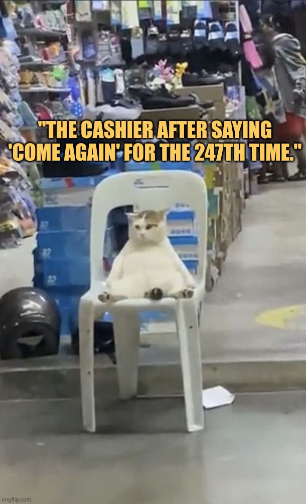 That one cashier who always come back