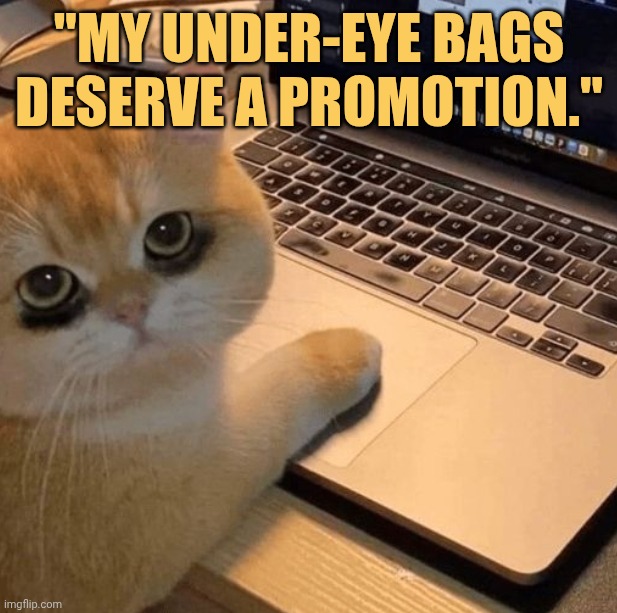 someone give my undereye bag a promotion meme