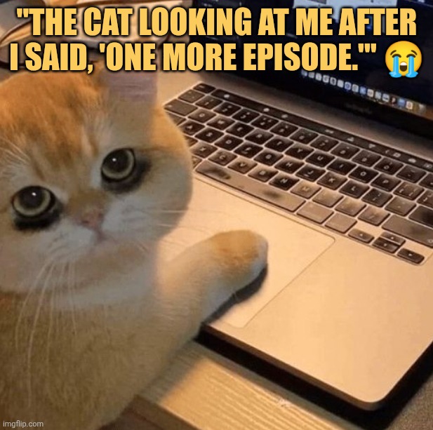 that cat got addicted to kdrama meme